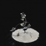 weed dying in a timelapse video