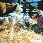 Triplet calves are relatively uncommon but triplets that are all the same gender are even rarer. Corney and Linda Dyck had their first set of same-gender triplets — all heifers — in 2000 and snapped a picture with their then four-year-old daughter Janelle. On March 5 the Dycks have another set of triplets — all of them bulls.