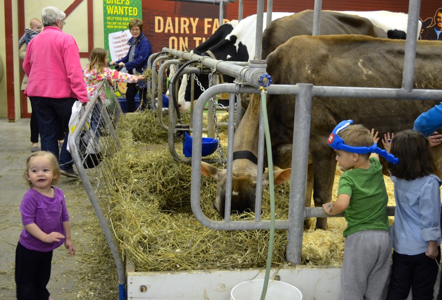 108th Royal Manitoba Winter Fair in Brandon