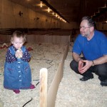 Jerry Maendel has been in charge of Fairholme Colony’s turkey flock since 1975.