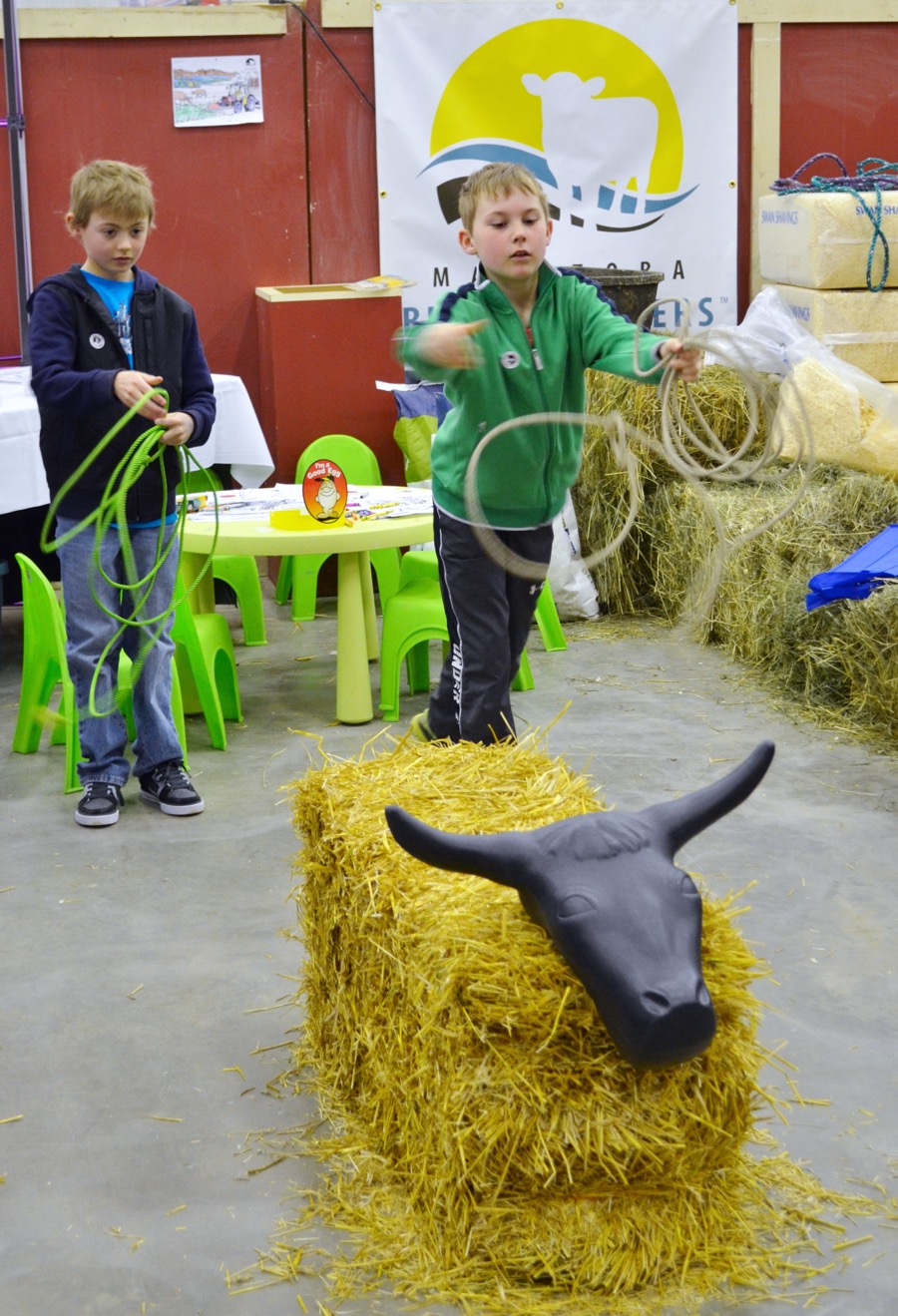 The Manitoba Royal Winter Fair strived to spread some agriculture awareness with its Thru the Farm Gate exhibits. Educational and entertaining demonstrations, interactive stations and a variety of farm animals, including dairy cows, piglets, beef cattle, sheep, goats and alpacas were made available to fair goers. 