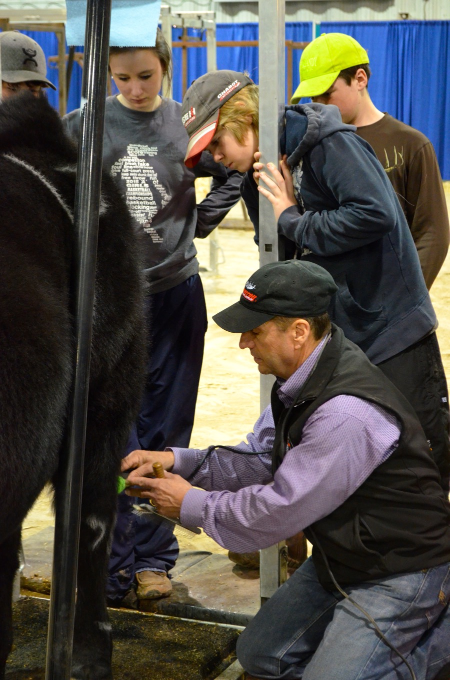Cattle specialist, Kirk Stierwalt, held a clinic at the Royal Manitoba Winter Fair discussing techniques and tips on clipping, hoof trimming, show day dressing, showmanship and general care. Stierwalt has been running clinics in the cattle showing industry for over 23 years.