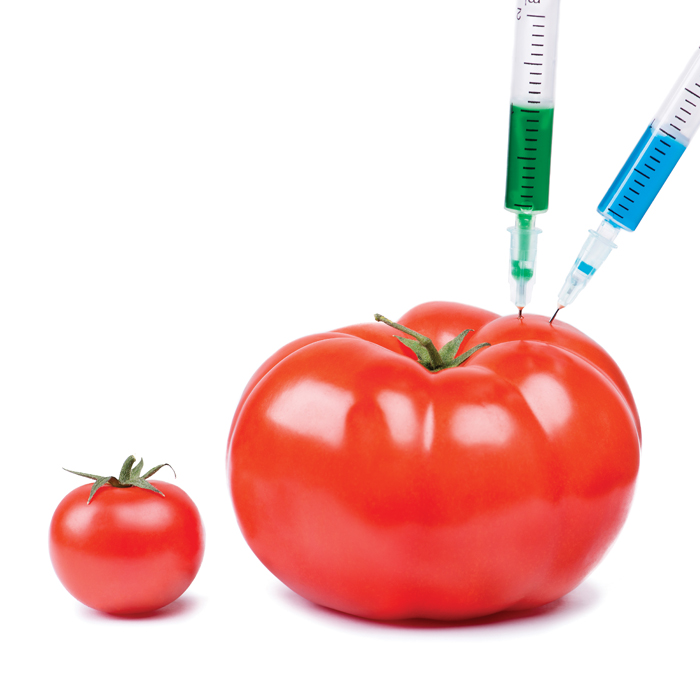 tomato being injected with a syringe