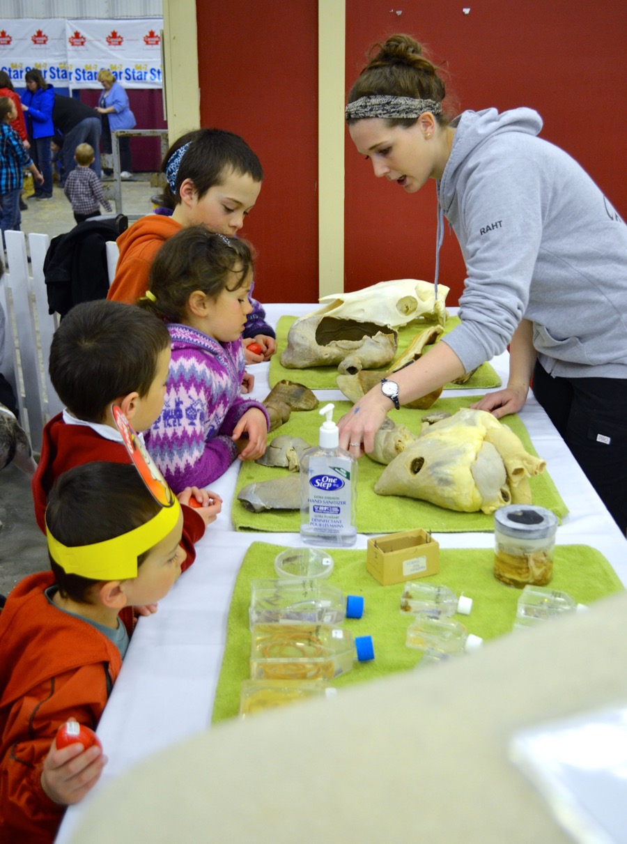 The Western College of Veterinary Medicine’s display allowed visitors to try their hand at being a vet and gain some knowledge of modern-day veterinary practices.