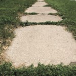 weedy sidewalk