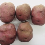 Phosphorus acid has been effective in controlling silver scurf, a disease which causes blemishes on potatoes for the fresh market.
