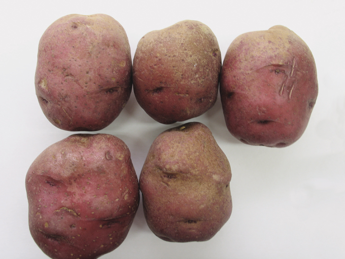 red potatoes