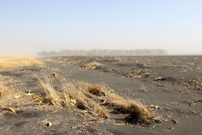 topsoil drift in a Manitoba ditch