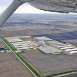aerial view of a chicken farm