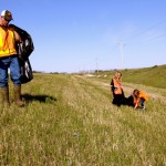 Highway cleanup is an annual end-of-May event, dispatching 4-H’ers to the roadways around their communities to pick up trash such as drink cans and bottles, twine and junk food containers. Young 4-H’ers all wear high-visibility vests and are supervised by their parents and other adult volunteers while cleaning up highways with signage cautioning motorists.