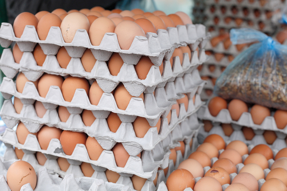 egg flats