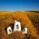 Bags Of Money On A Farm Field
