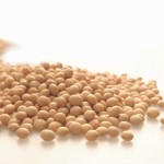 soybeans