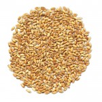 Organic wheat