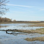 flooded field in Manitoba