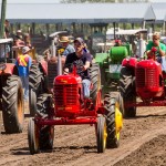 Kyle Moorehead of Douglas, Man. on a Pony model Massey Harris leads the Massey Harris tractor line in front of the grandstand during the daily vintage tractor parade. The parade is held each day of the 4-day event.