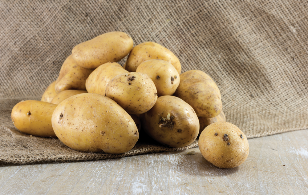 white potatoes