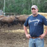 Len Epp stands with bison about to be exported to the United States.