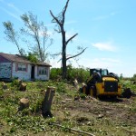 More than a dozen trees were uprooted on the Raynor couple's property.