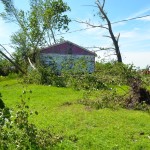 More than a dozen trees were uprooted on the Raynor couple's property.