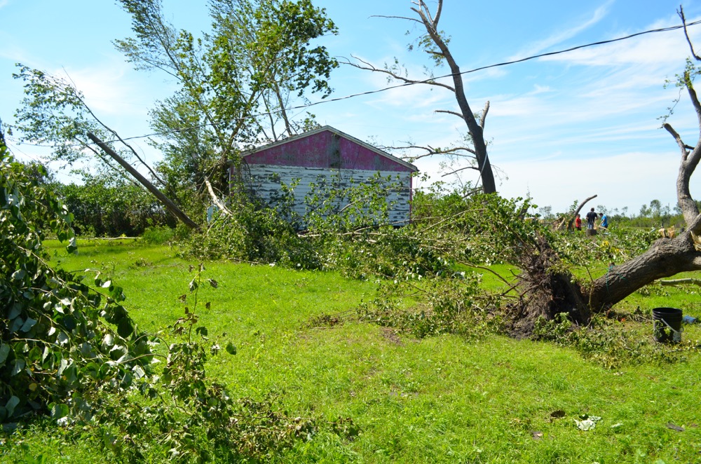 More than a dozen trees were uprooted on the Raynor couple's property.