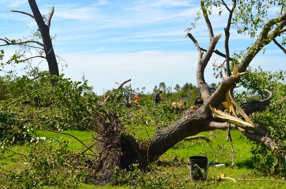 More than a dozen trees were uprooted on the Raynor couple's property.