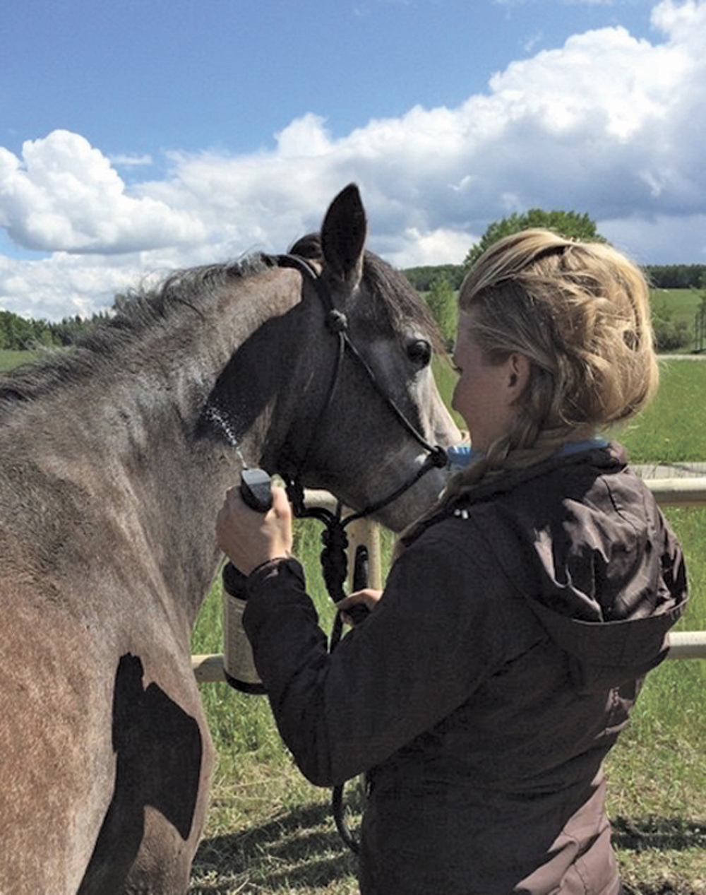 Horses are prone to allergic reactions