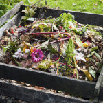 compost