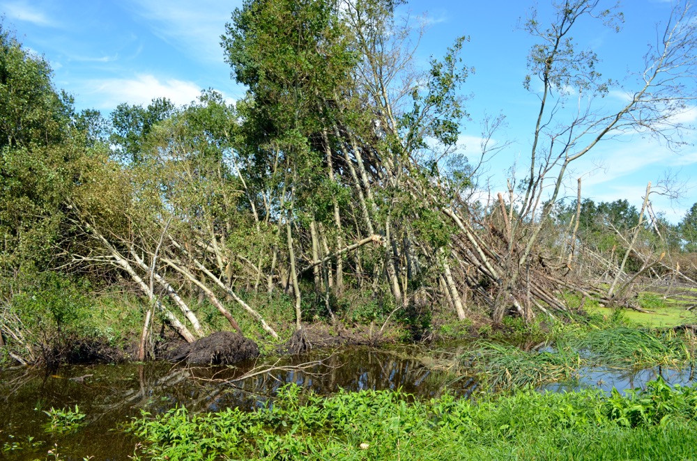 The tornado left a string of damage and debris in its wake from Tilston to northeast of Virden.