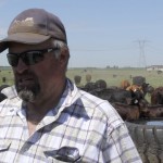 Doug Wray is among several Alberta cattle producers experimenting with adding a variety of forages to feed his cattle. The mix adds important nutrients to the cattle’s diet, but also increases the diversity on the land.