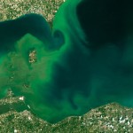 Photo taken on July 28, 2015 from NASA’s Operational Land Imager (OLI) on Landsat 8 showing algal blooms on Lake Erie.