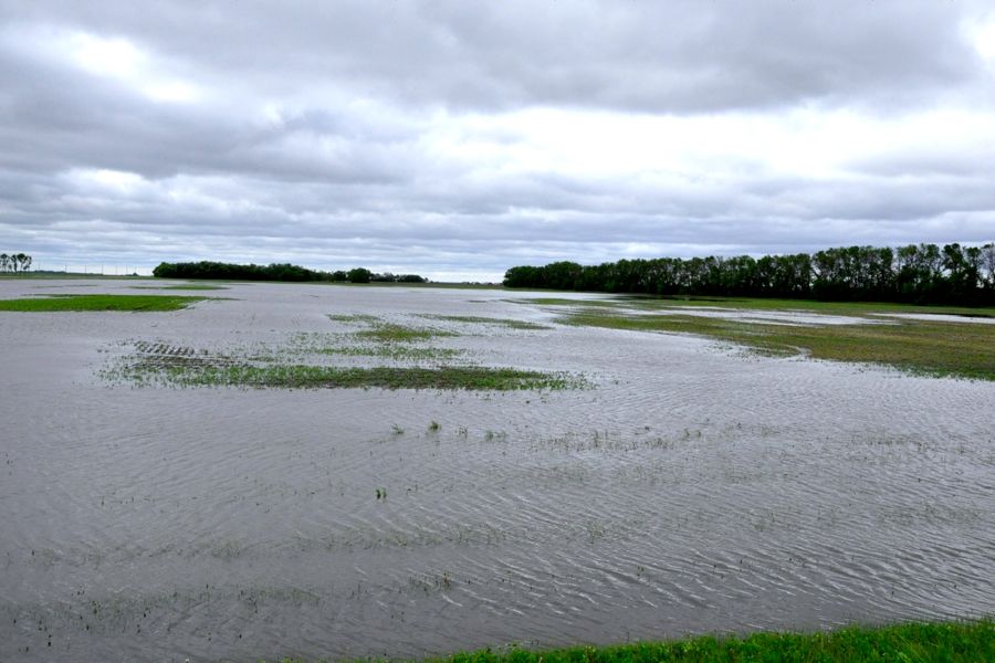 In 2014, nearly one million Manitoba acres were too wet to seed and thousands of acres of crop were damaged by too much moisture.