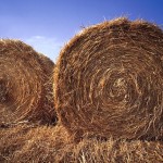 Tell us about your hay situation!