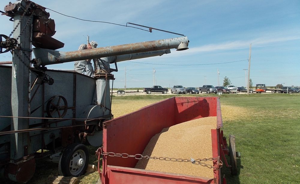 The yield from the morning's work.