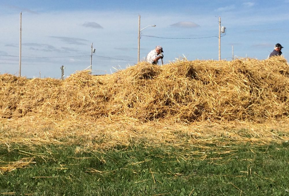 All that's left is to find a home for the straw and chaff from the morning's demonstration.