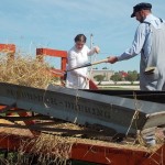 Lisa Roy and Erron Leafloor handle the task of forking stooked wheat into the thresher.