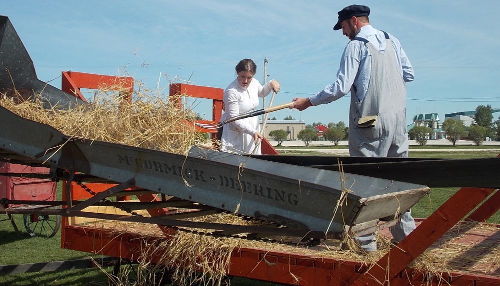 Lisa Roy and Erron Leafloor handle the task of forking stooked wheat into the thresher.