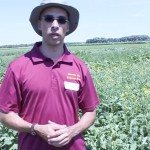 VIDEO: Research on volunteer canola in soybean crops