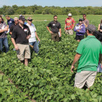 Greg Bartley takes producers through his research plots.