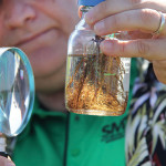 Mario Tenuta holds up a jar containing soybean roots with nematodes for inspection at the Ian N. Morrison research farm near Carman.