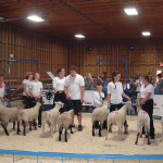 Entries wait to be judged in the Sasktoba Sheep 4-H achievement that was held for the first time in a decade at this year’s Manitoba Sheep Association Show and Sale in Carberry.