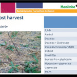S — Suppress weed growth      TG — Top Growth control mainly 