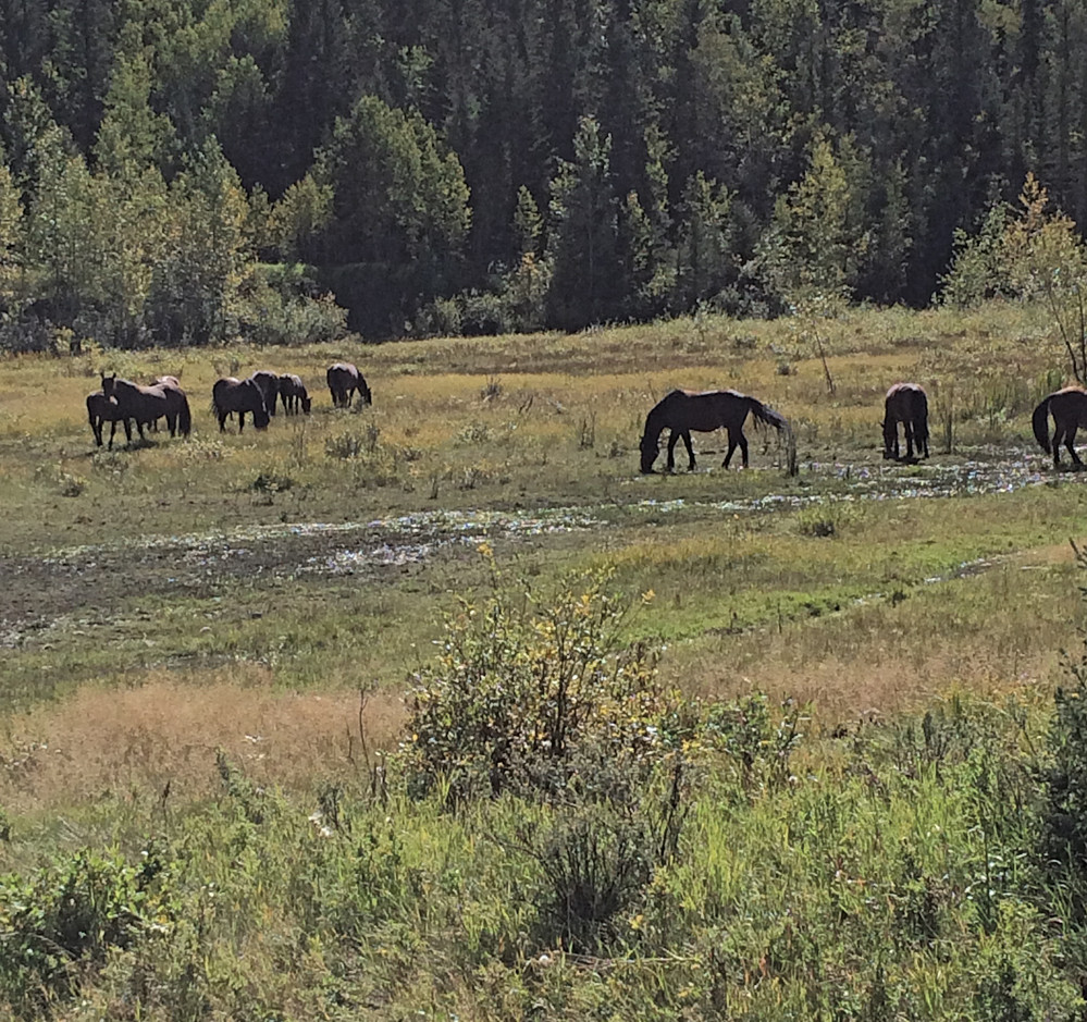 Understanding and controlling the risk of EIA