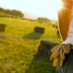 Editorial: The votes that matter