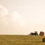 MFGA September hay situation and price update