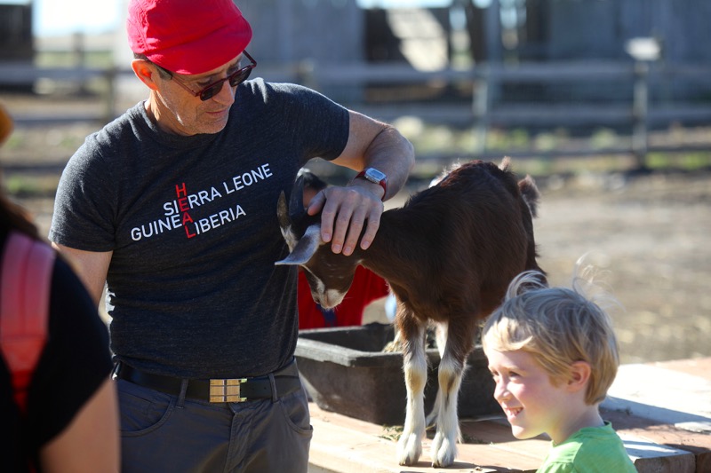 Goats. Always up for engaging with the public.