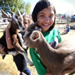 Winter Derange (in green) and Maeve Partyka show goats to visitors at Aurora Farm on Sunday.. Nearly 40 farms participated in the annual event, which is in its sixth year. Photo: Shannon VanRaes