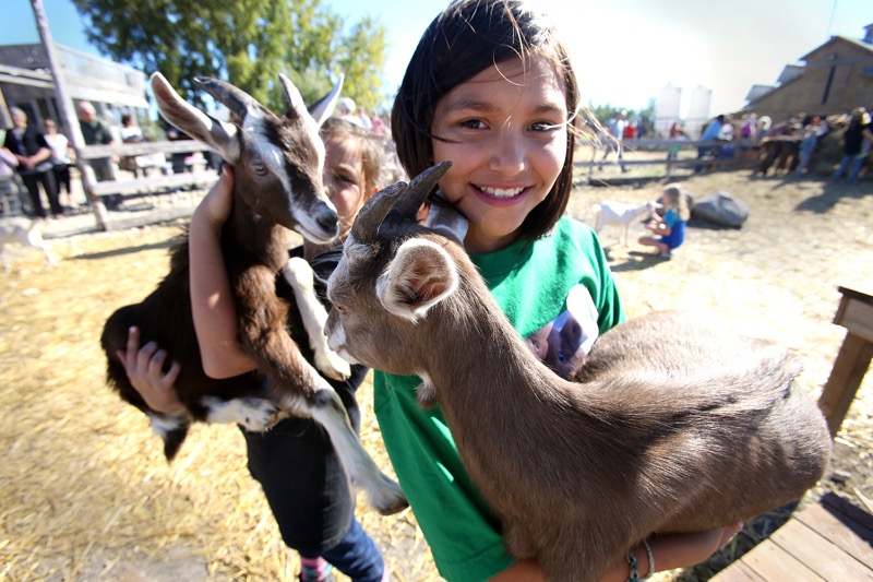 Winter Derange (in green) and Maeve Partyka show goats to visitors at Aurora Farm on Sunday.. Nearly 40 farms participated in the annual event, which is in its sixth year. Photo: Shannon VanRaes