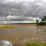 water flowing in a ditch