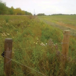 Designing 3D fencing consists of setting up two parallel fences and focusing on height, depth and width to create a daunting barrier.